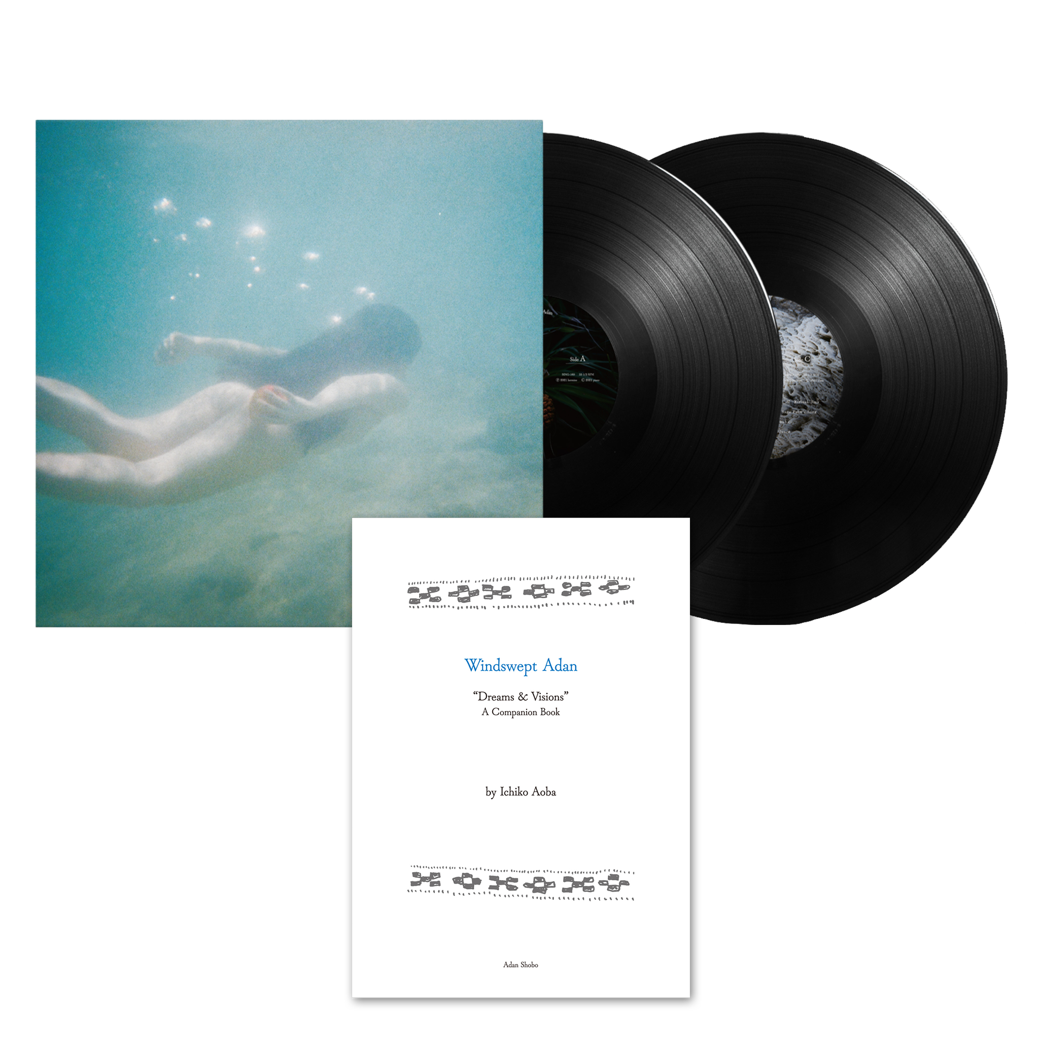 Windswept Adan | Deluxe LP and Book Bundle – Ichiko Aoba
