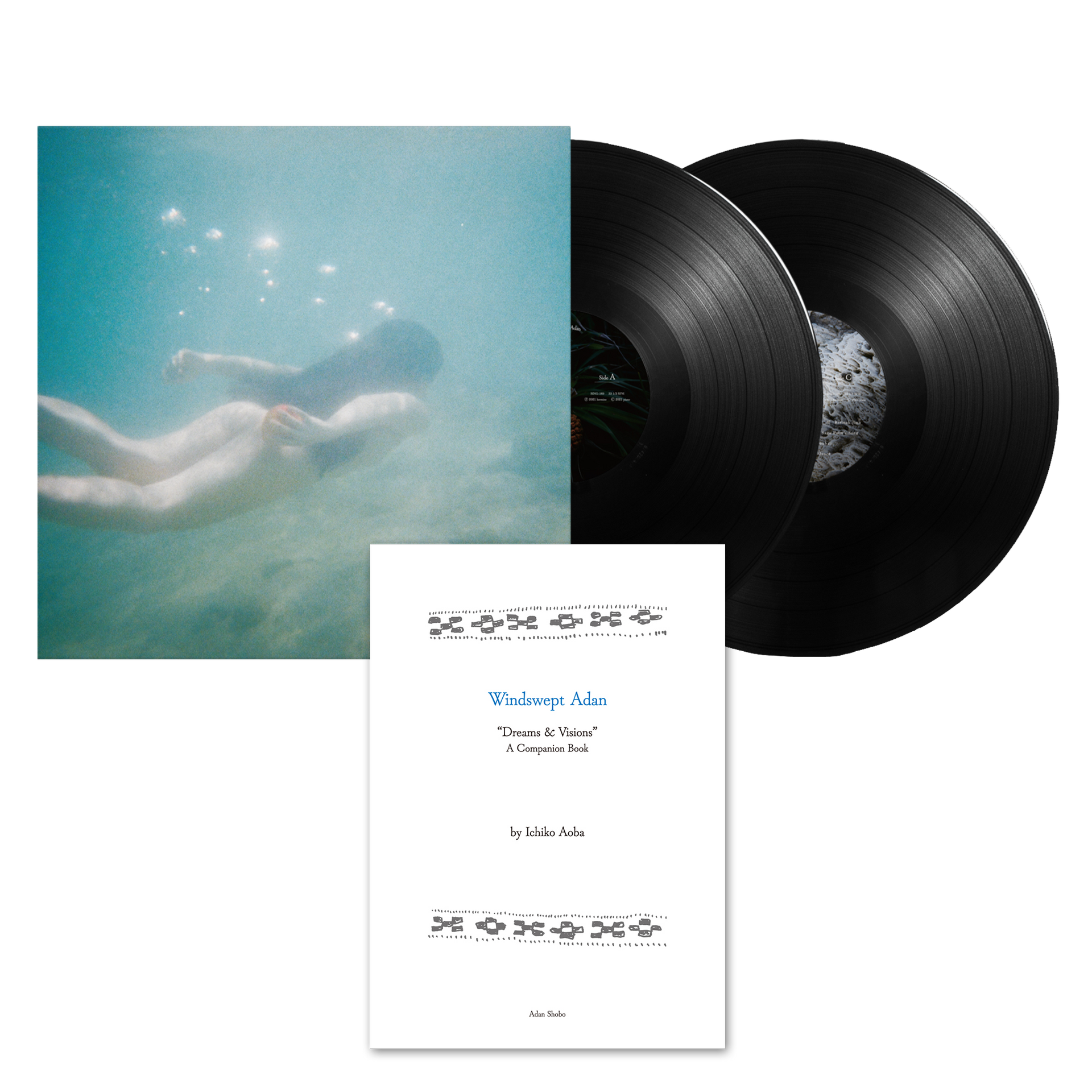 Windswept Adan | Deluxe LP and Book Bundle – Ichiko Aoba