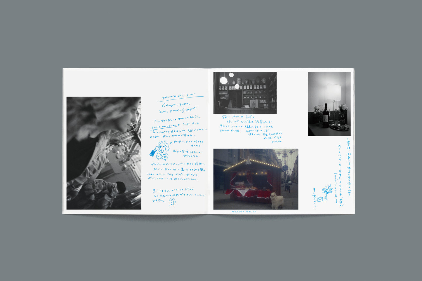 Single Collection LP
